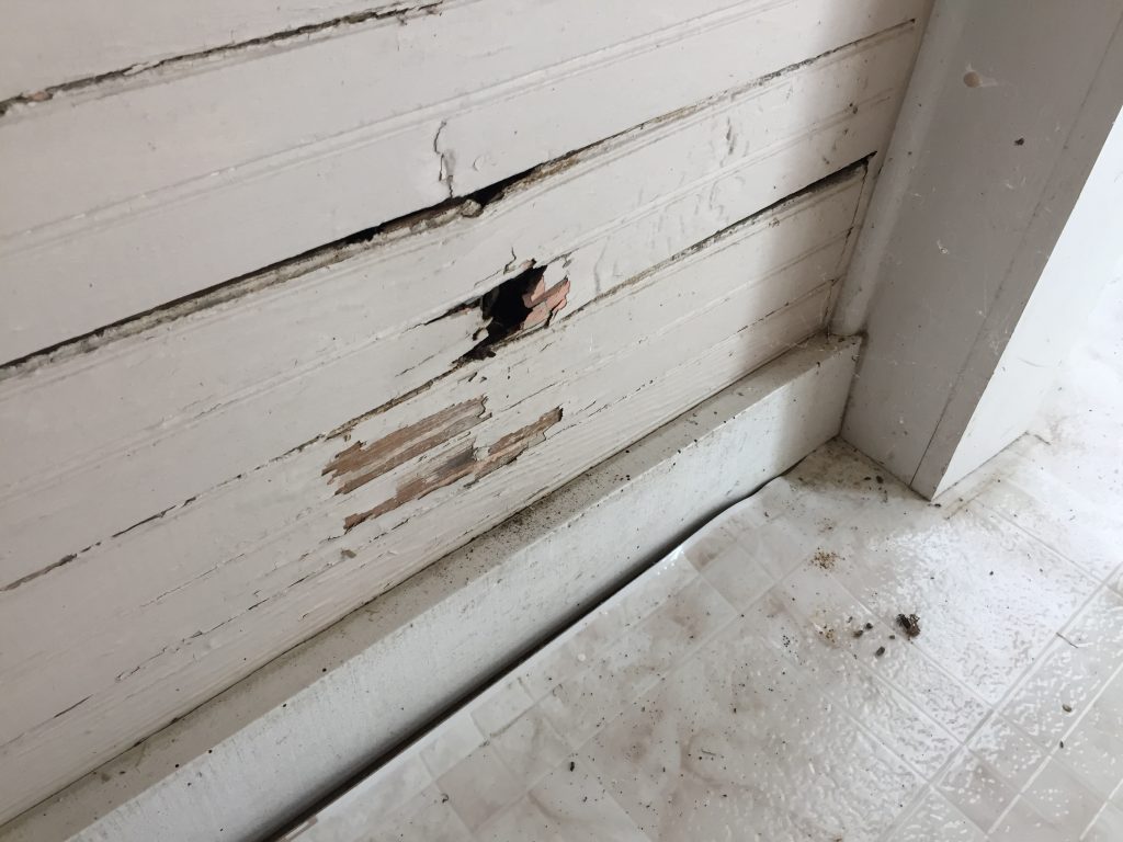 Dining room interior wall, resulting from window leak. Dining room interior wall, resulting from window leak.
