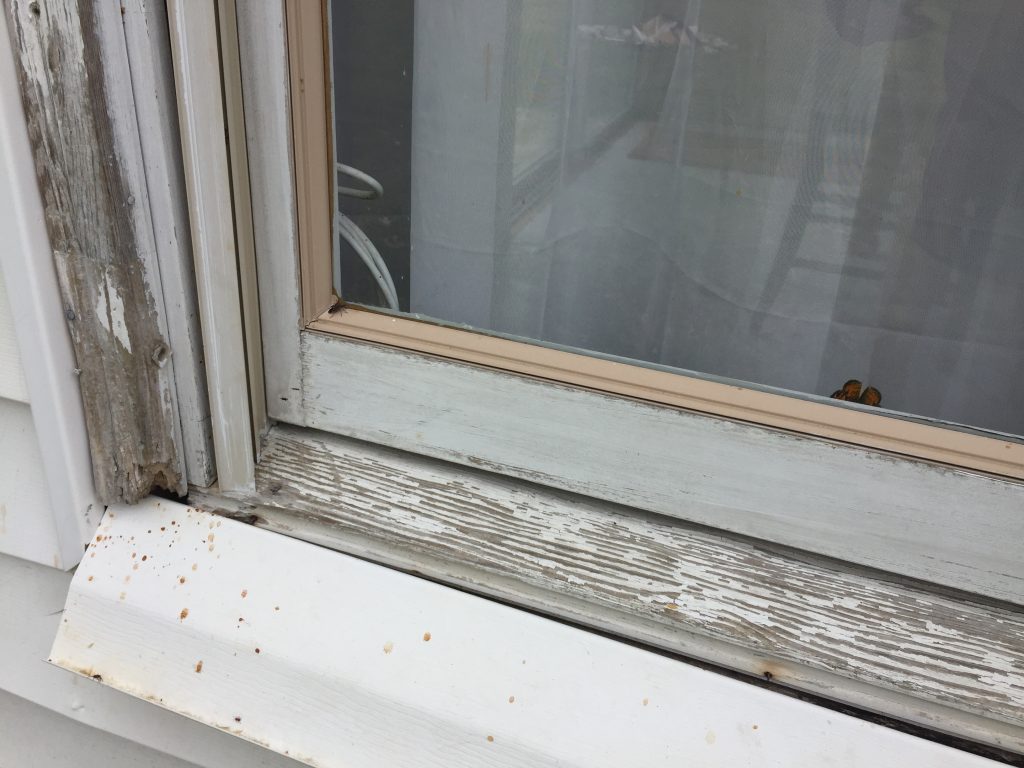 Exterior of living room window. Exterior of living room window.