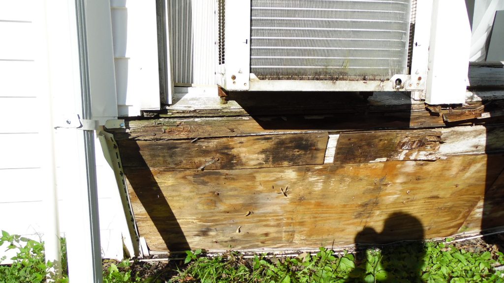 Rotten wood revealed Rotten wood revealed